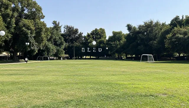 医药网站建设定制服务：打造高效沟通机制的远程协作平台